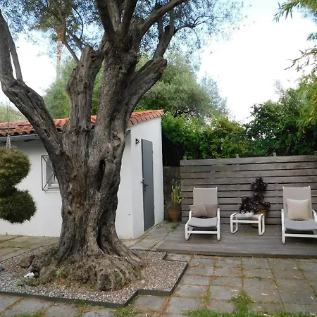 Provencal Oasis - T2 